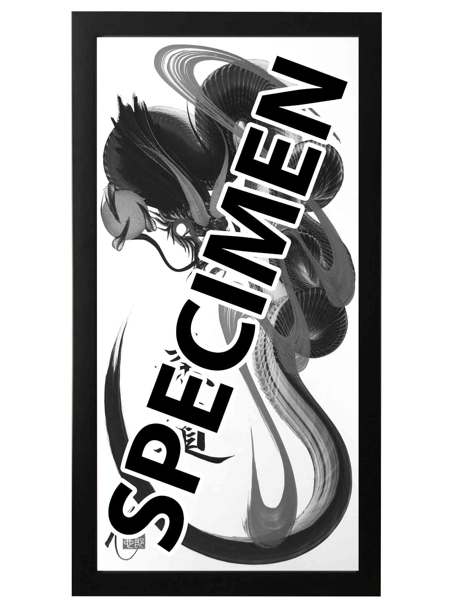 frame black 25x50 OTH 002 1